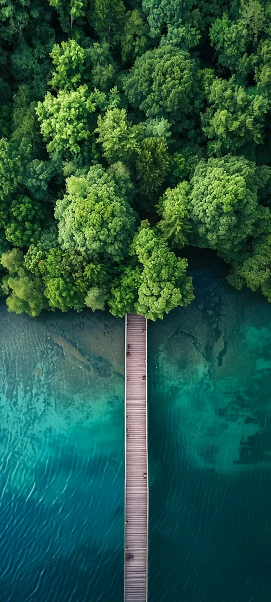 A stunning aerial view of a wooden pier extending from a dense, green forest into a clear, turquoise lake. The contrast between the lush tree canopy and the deep blue water creates a serene and picturesque scene, with gentle ripples visible beneath the pier.